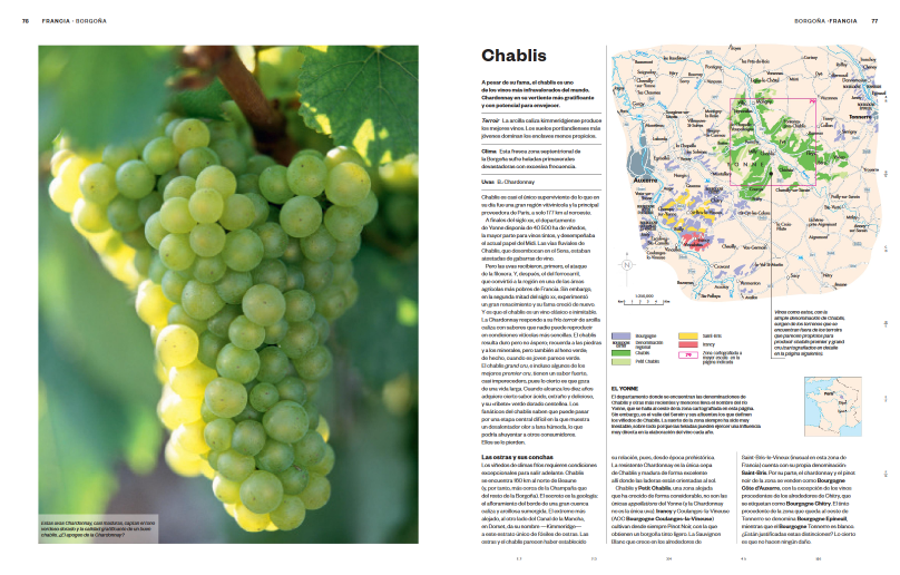 ATLAS MUNDIAL DEL VINO