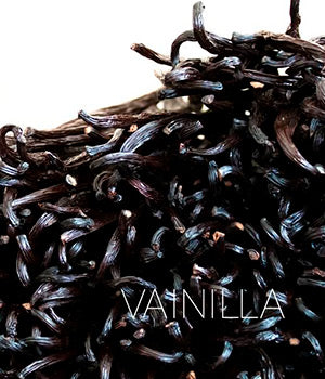 VAINILLA - Flor y Esencia De México