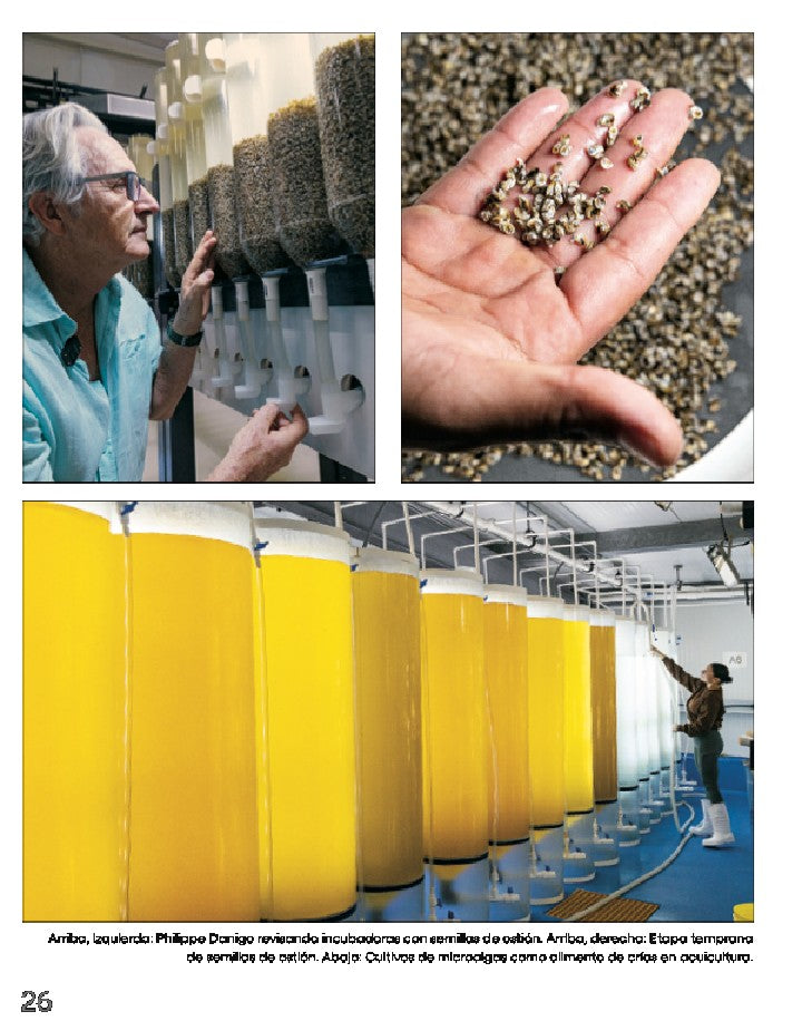 CONOCIENDO MÉXICO A TRAVÉS DE SUS PESCADOS Y MARISCOS