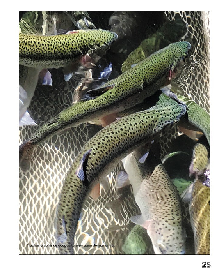 CONOCIENDO MÉXICO A TRAVÉS DE SUS PESCADOS Y MARISCOS