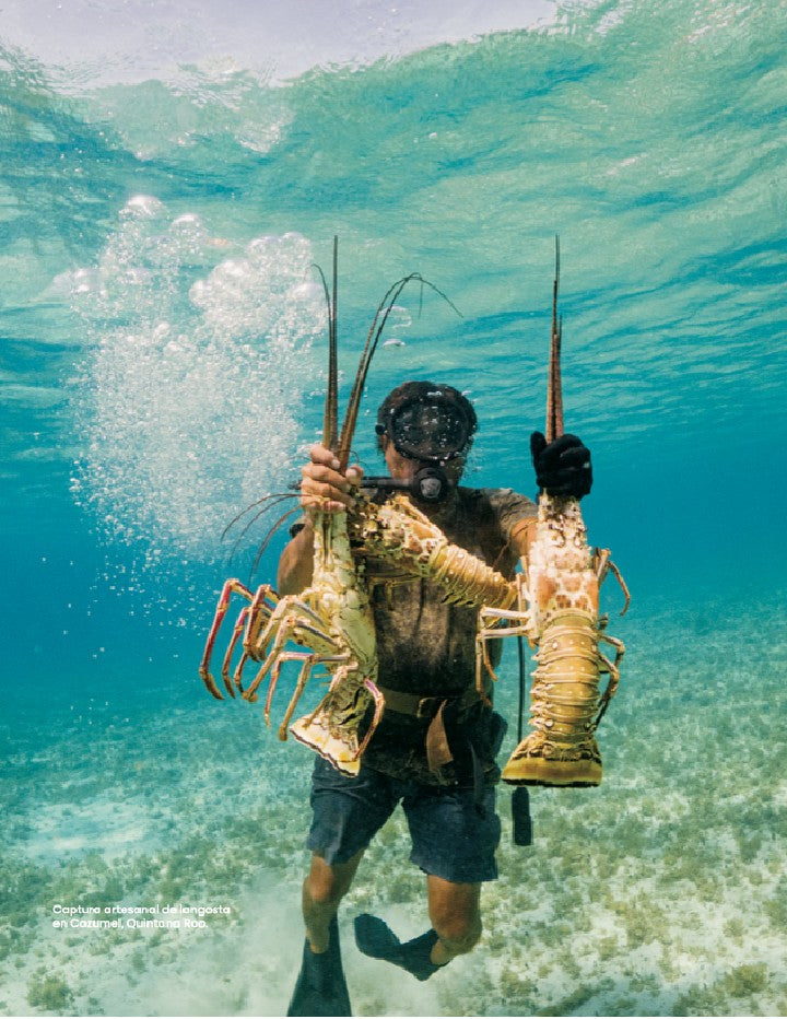CONOCIENDO MÉXICO A TRAVÉS DE SUS PESCADOS Y MARISCOS