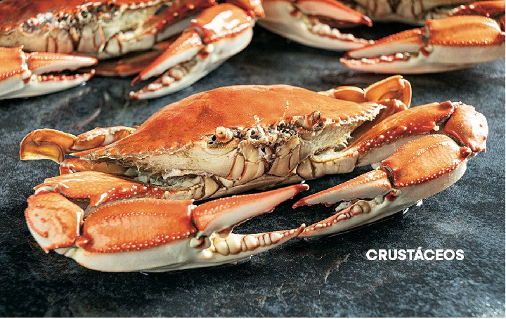 CONOCIENDO MÉXICO A TRAVÉS DE SUS PESCADOS Y MARISCOS