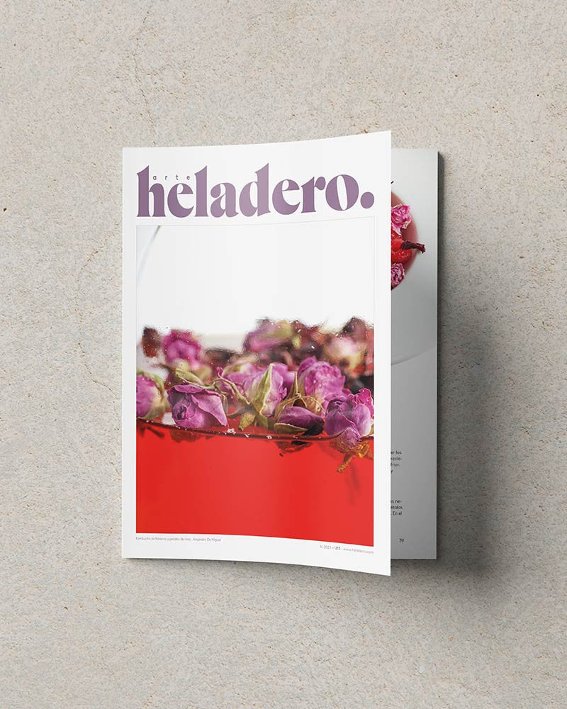 Arte Heladero N° 213