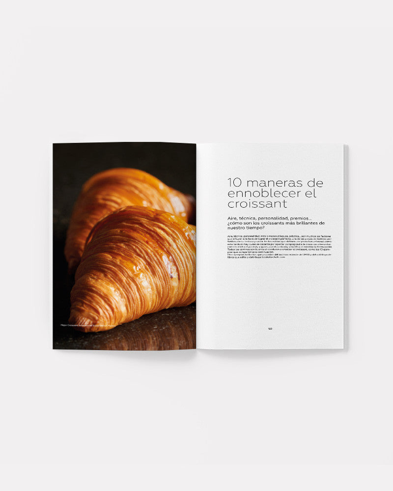 DULCYPAS N°499