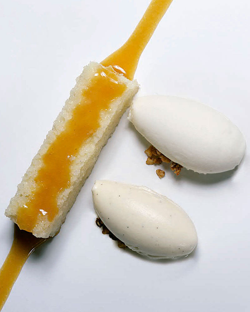 LOS SECRETOS DEL HELADO - Angelo Corvitto