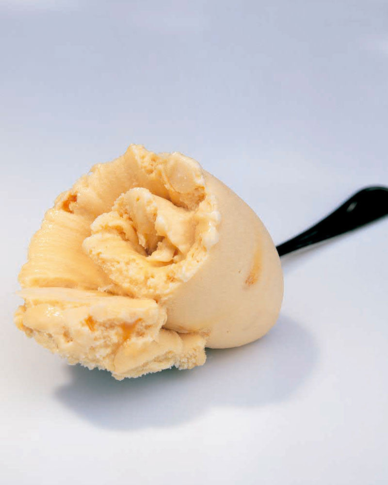 LOS SECRETOS DEL HELADO - Angelo Corvitto