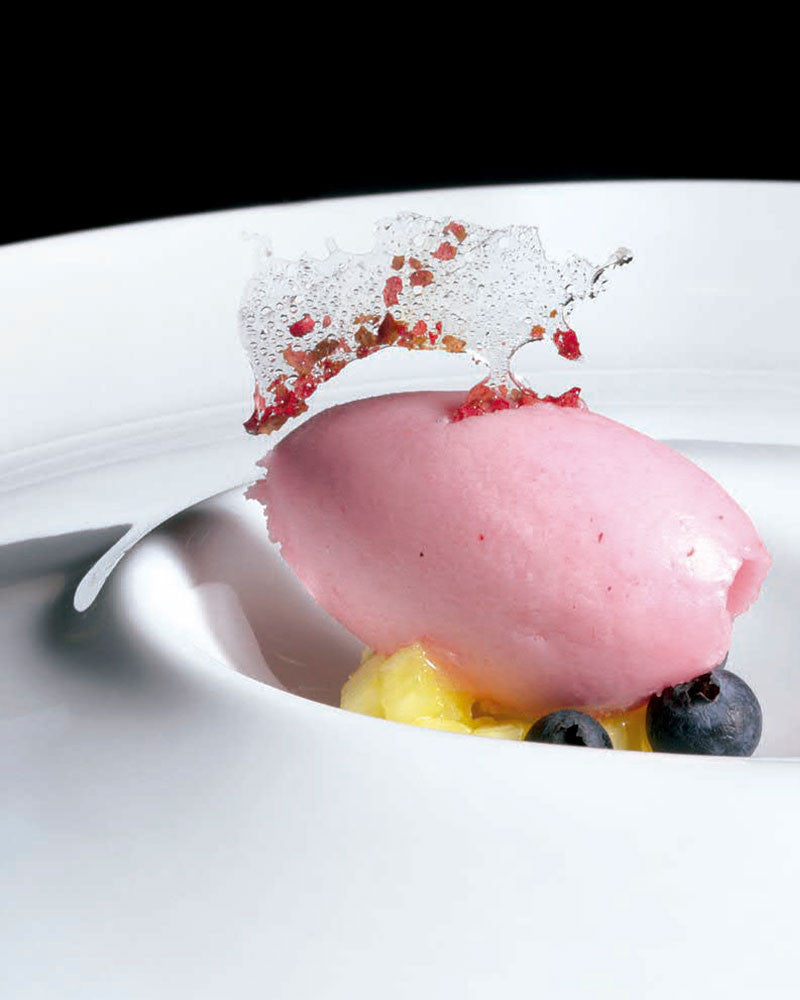 LOS SECRETOS DEL HELADO - Angelo Corvitto